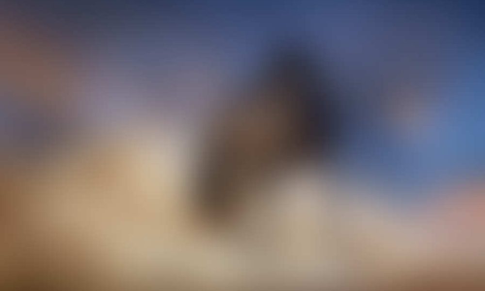 Donec facilisis neque